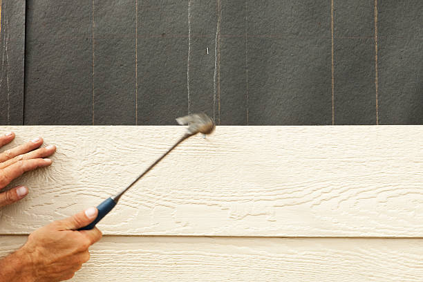 Best Custom Siding Design  in Tarpey Village, CA